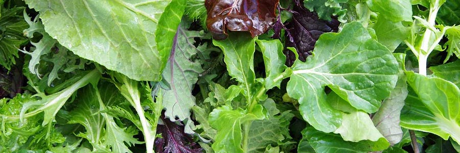 Healing Nutrition Salad