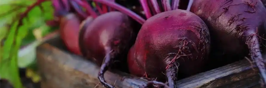 Detoxifying Beetroot and Greens Soup